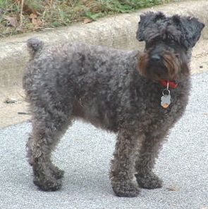 6a00d8341cbb0053ef0120a554bba2970c-320wi