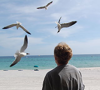 Suze and Seagulls