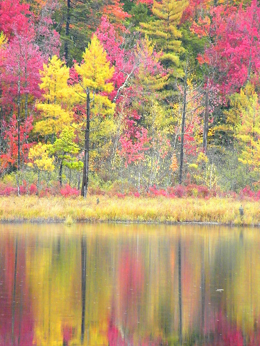 2958309410_abd41eda1c