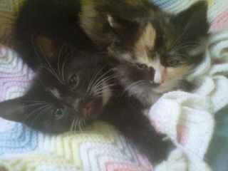 390057_2141477732638_1117020633_31889429_463334805_n