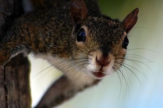 2122470181_1ae0abbff0