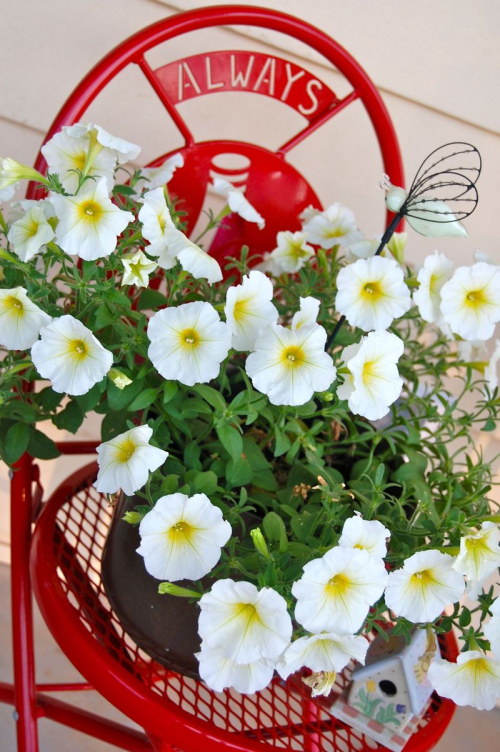 6a00d8341cbb0053ef013482161f43970c-800wi