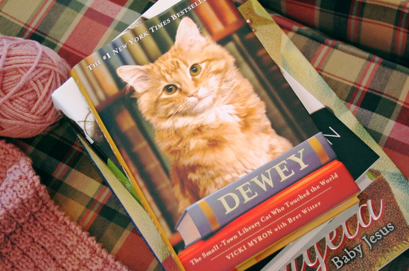 Dewey