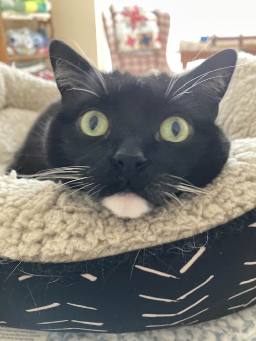 480442185_10232006516818171_884100681992258303_n