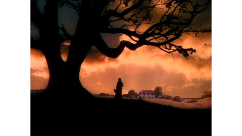 20140911_190254_960665_gone-with-the-wind-view-of-tara