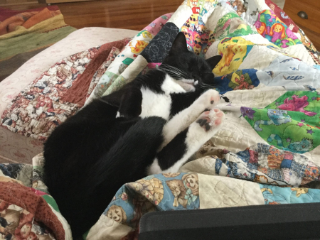 17211812_10208650654999929_6293411789375737841_o