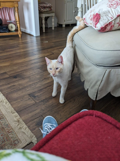 436256023_10224494177518090_8129090444610018891_n