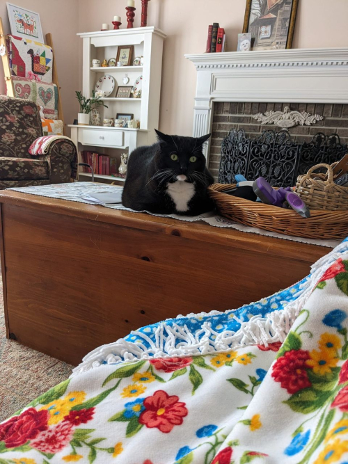 435975665_10224494180478164_2901518041957936537_n