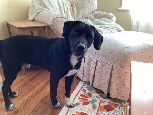 457239428_10225322429343868_6428652649789377093_n