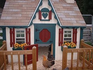 Chicken-coop-2