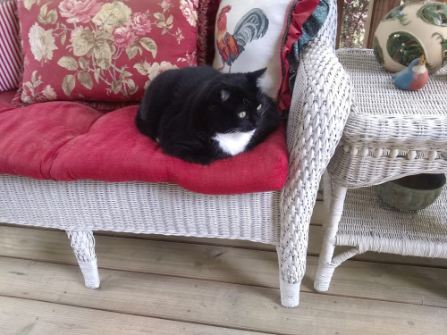 278706751_10225501676023327_5743356019877437918_n