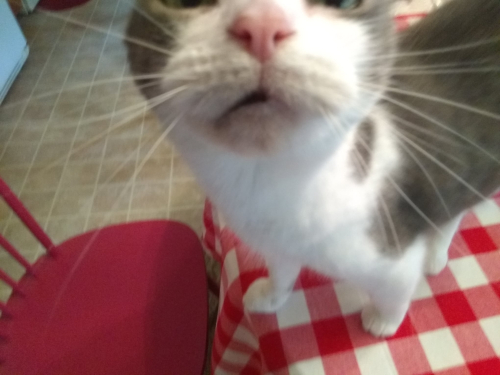 278664028_10225501770385686_5502998828978352223_n