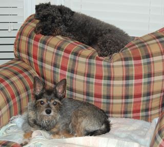 6a00d8341cbb0053ef0120a5d63355970b-320wi