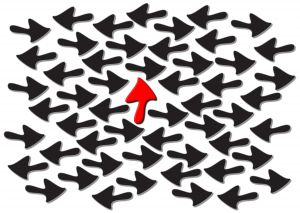 CONTROLLED CHAOS - Arrows by SRBichara - Stock.Xchng Photos