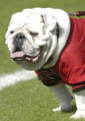 HFLPLRWBSYEMVUR.20070815203959