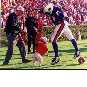 Ugabitingauburnphoto