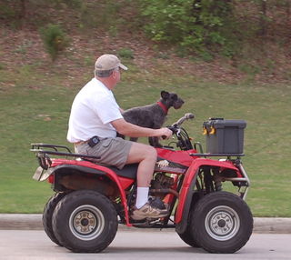 Sophie on 4wheeler
