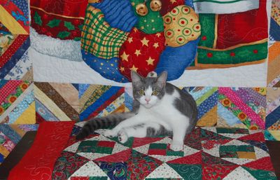 Bella & Quilts