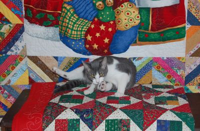Bella & Quilts 2