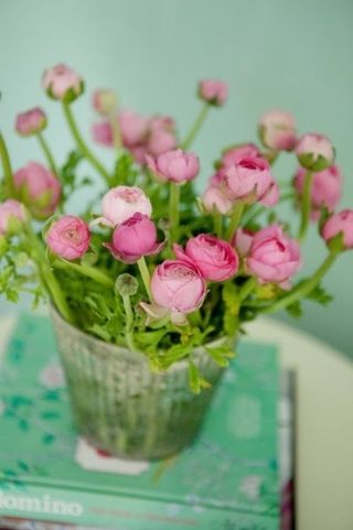 182325484884497987_mEsbYGgi_f