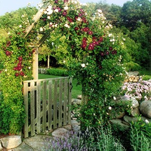 15963_0_8-8281-traditional-landscape