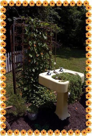 SinkandBedSpringTrellis