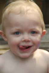 529065159_c6a1d2ad79_m