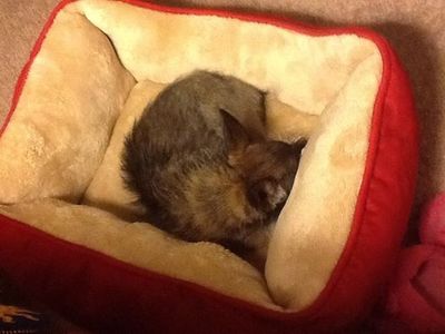 10547715_10203567485522273_5435642814573505075_n