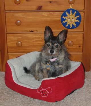 6a00d8341cbb0053ef01543593745f970c-400wi