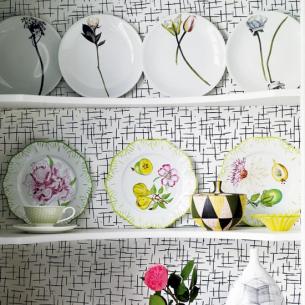 6SHELVES_023.jpg_e_c05121baa6f7e87f42266c0662e4a480