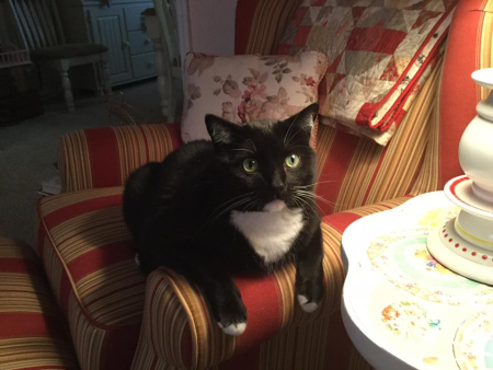 17202939_10208645524511670_8797237000474416878_n