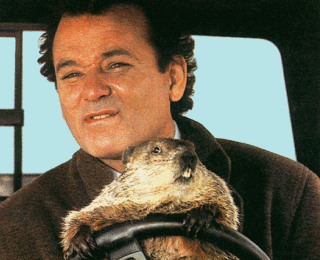 Big_bill_in_groundhog-731047