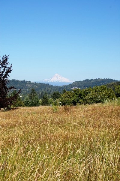 5091_1087966754633_1090376533_30208498_4975707_n