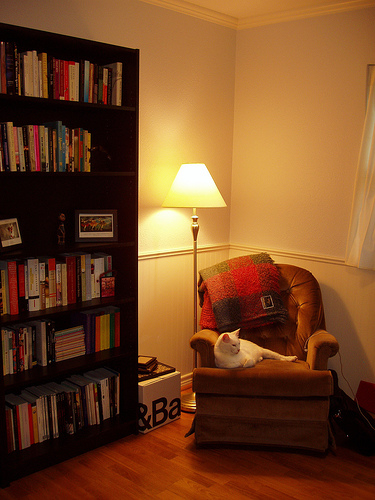 1367709989_c9dbb6ee74