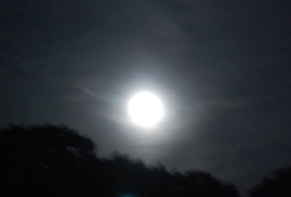 Moon - 1 (1)