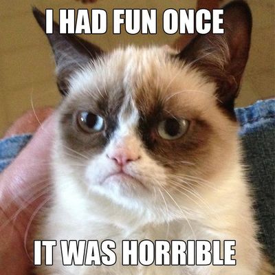Grumpy-cat-i-had-fun