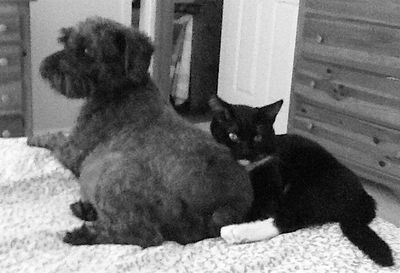 Soph & Taco  B:W jpeg