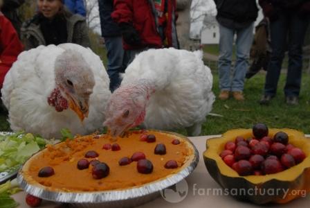 Sammi-and-Aya-eating-pie-CREDIT_Jo-Anne_McArthur
