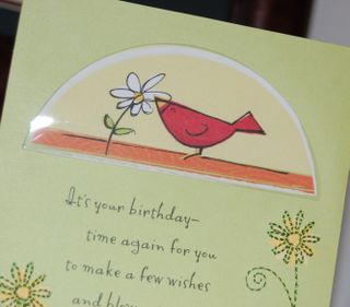 Bird card