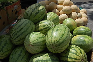 B Melons