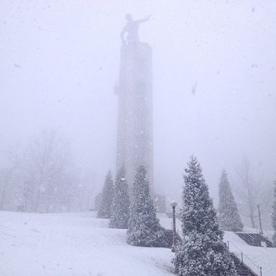 431541_10151061966317395_1061058994_n