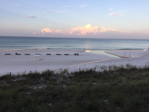 68604810_10214882813720002_4922923787059462144_n