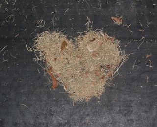 6a00d8341cbb0053ef0134852342b5970c-400wi