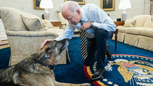 210619114227-champ-dog-joe-biden-02-24-2021-exlarge-169