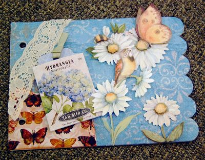 Seeds Right Seeds Right