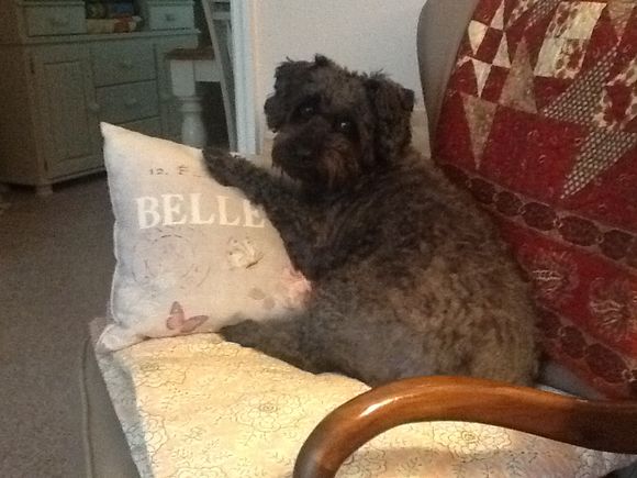 On a Dreary Saturday