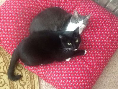 6a00d8341cbb0053ef01a3fd2bcf88970b-500wi