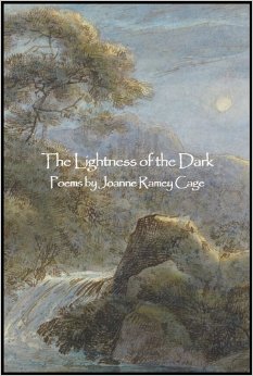 61mlJS6TqOL._SL500_SY344_BO1,204,203,200_