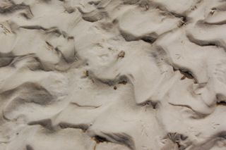 Beach Patterns 1