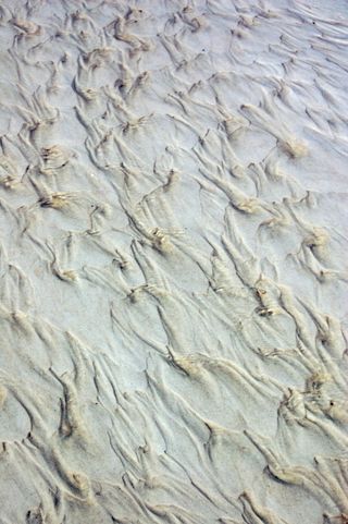 Beach Patterns 3